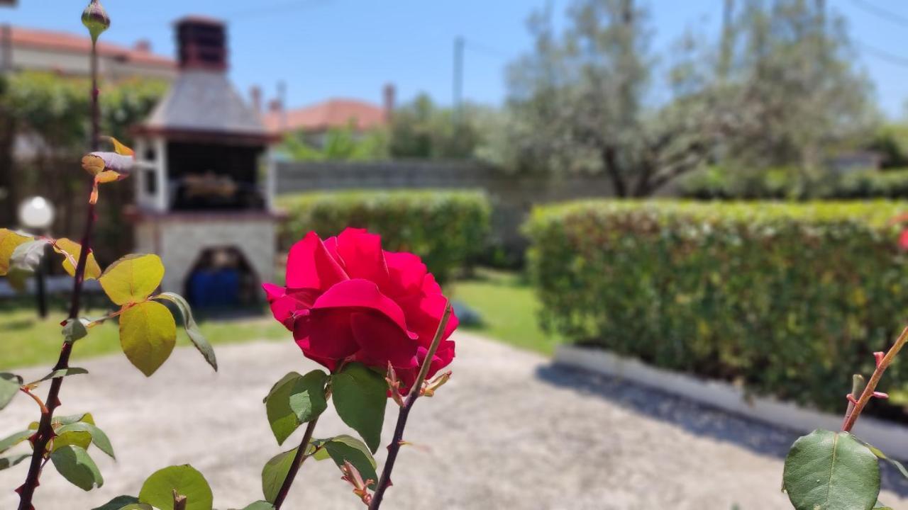 Elina House And Garden Villa Nikíti Kültér fotó